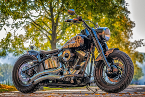 harley-davidson-g5c2b7f9b3_1920.jpg